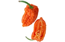 Naga Morich