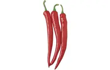 Cayenne Long Slim