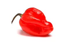 Habanero Rood