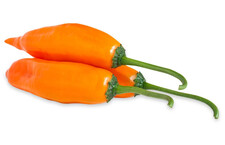 Aji Amarillo